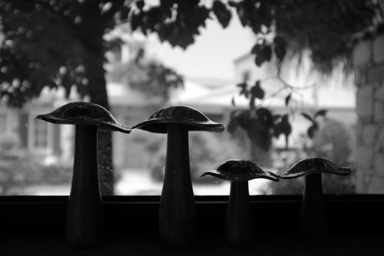 Organic Mushroom Lamp Console: Natural Shape and Light